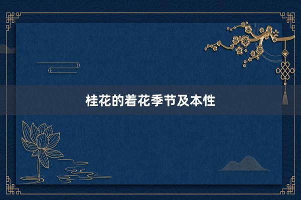 桂花的着花季节及本性