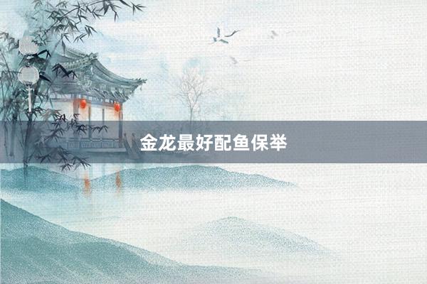 金龙最好配鱼保举
